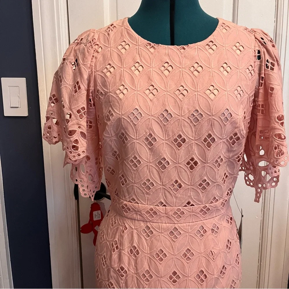 Rachel Parcell Pink Lace Dress - Picture 4 of 10